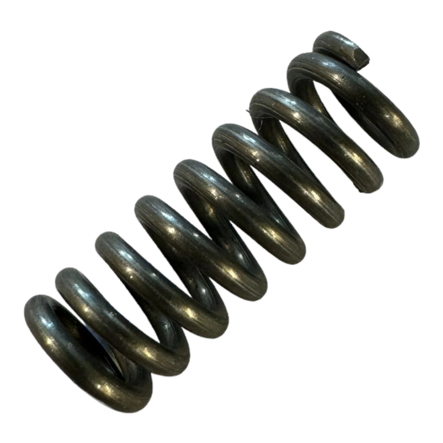 2163900 Spring