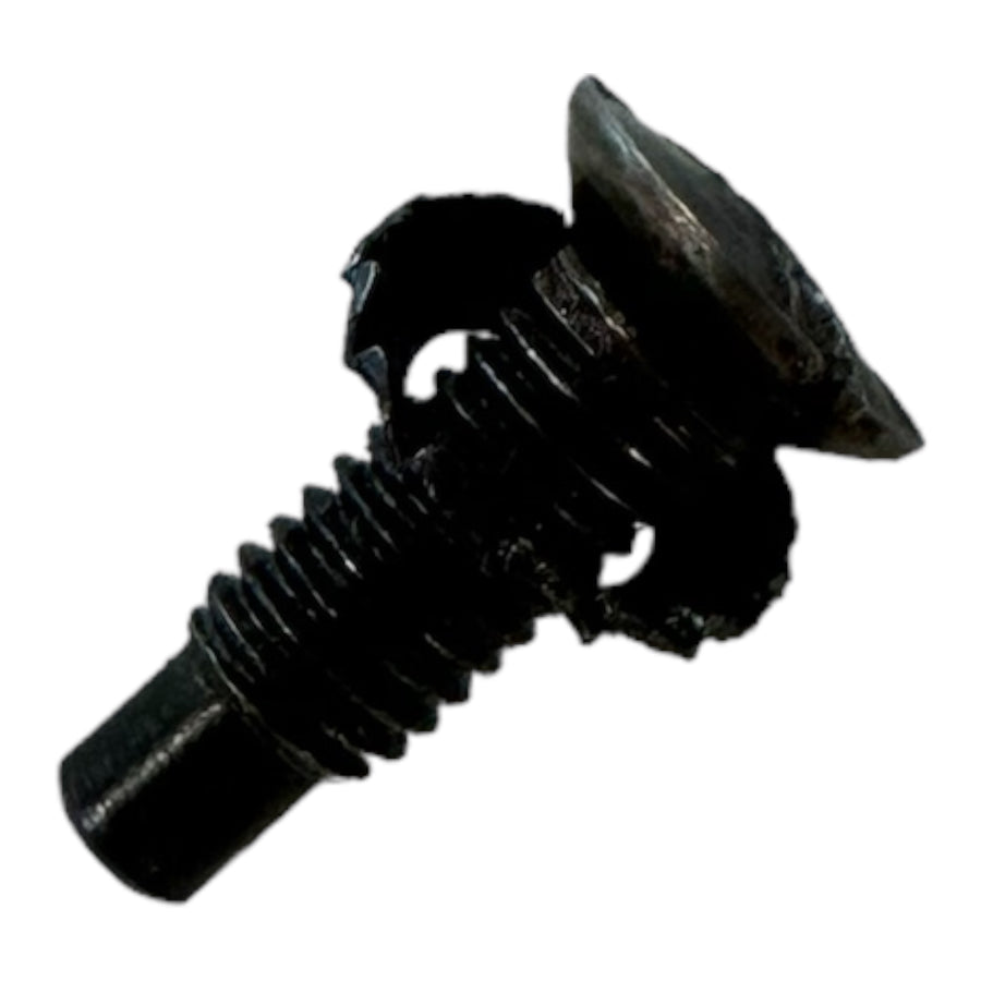 LP3A-31 Front screw with washer