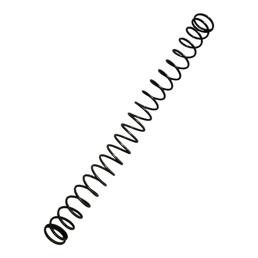 350-025 Piston Spring