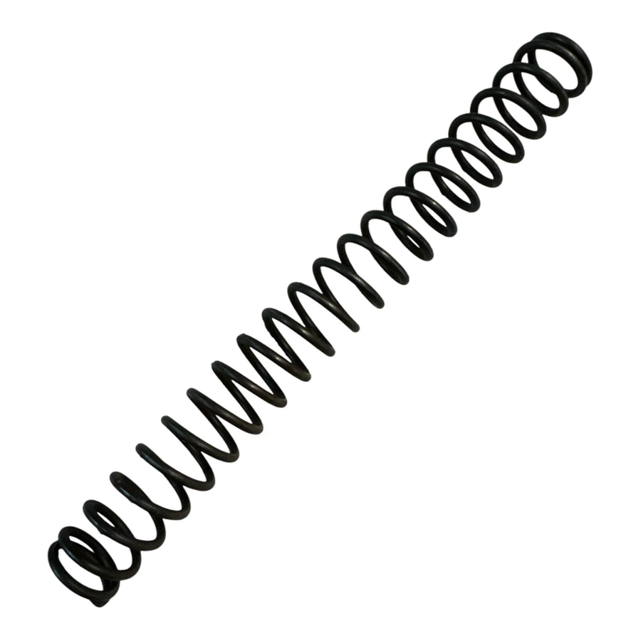 110021 Mainspring