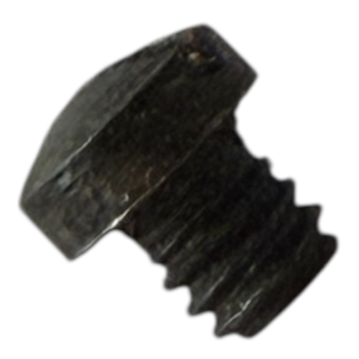 LP2-19 Screw
