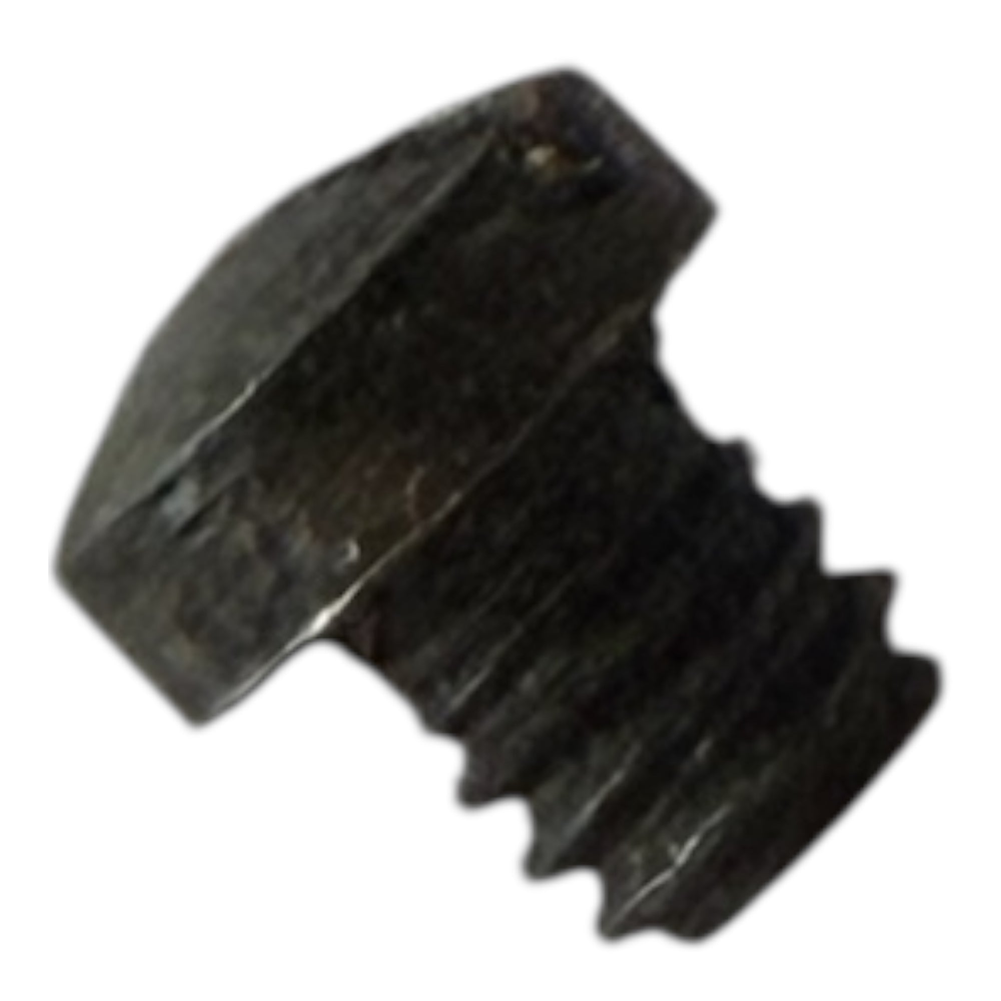 LP2-19 Screw