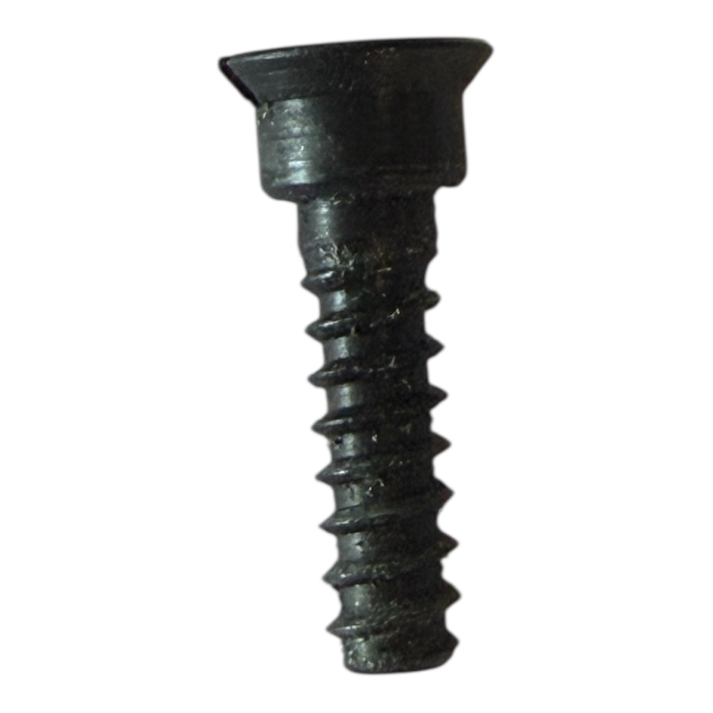 125 Rawhide Screw