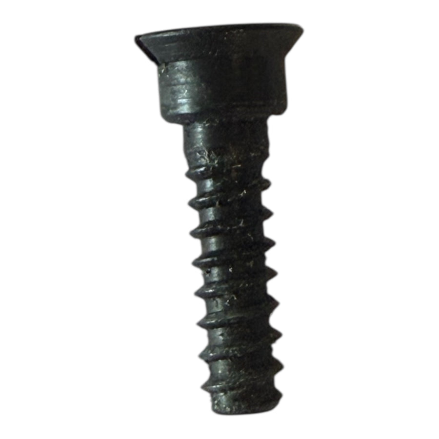 125 Rawhide Screw