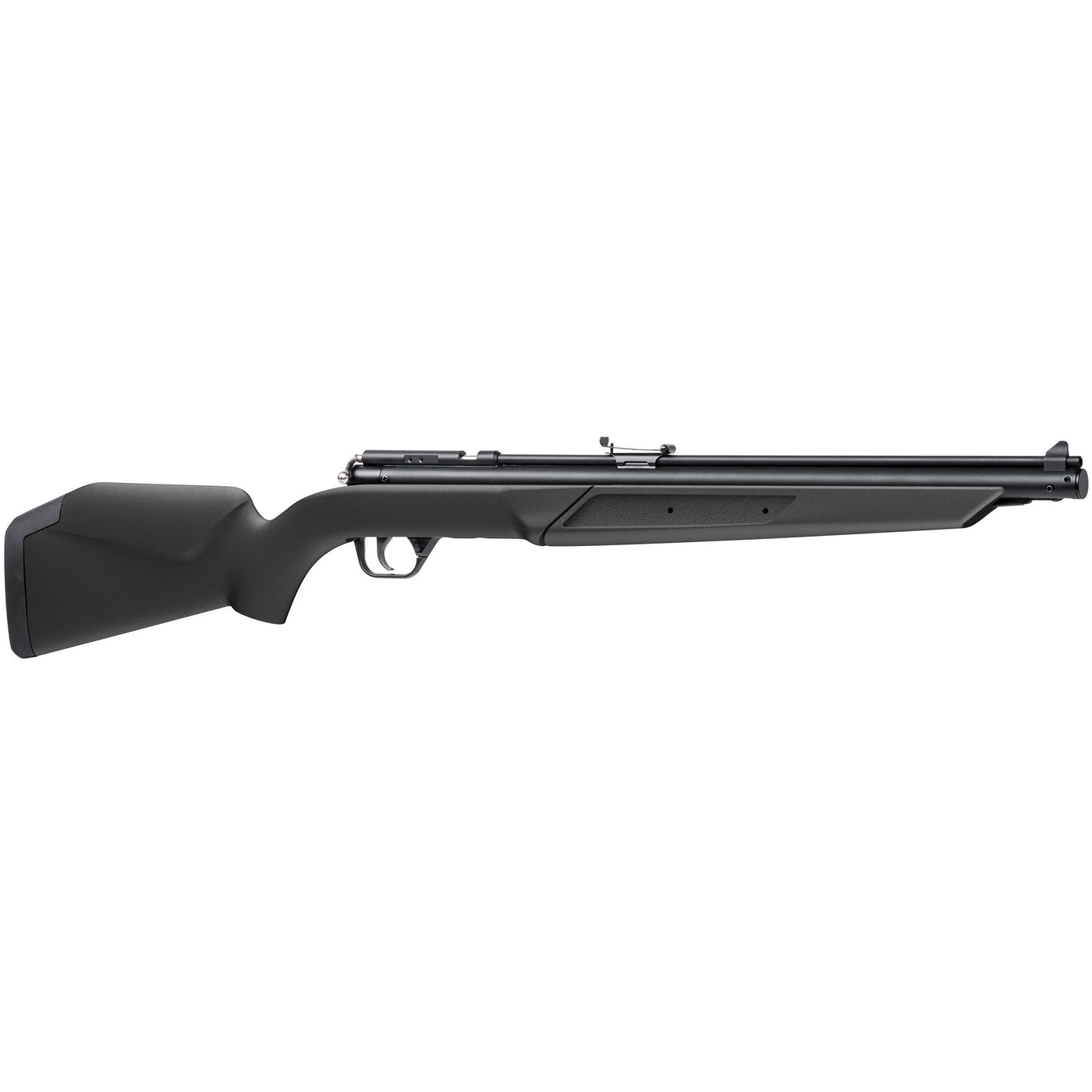 Benjamin Variable Pump Rifle .22 (392S) (BNS-AR-056)