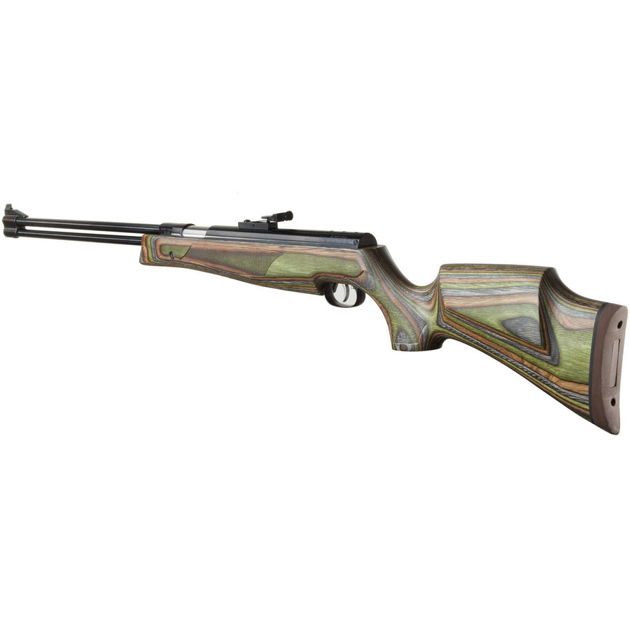 HW 77 "Special Edition" .22 740FPS (WIR-AR-130)