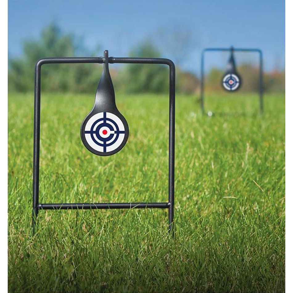 Dual spinning targets CS2LT (CRS-TR-011)