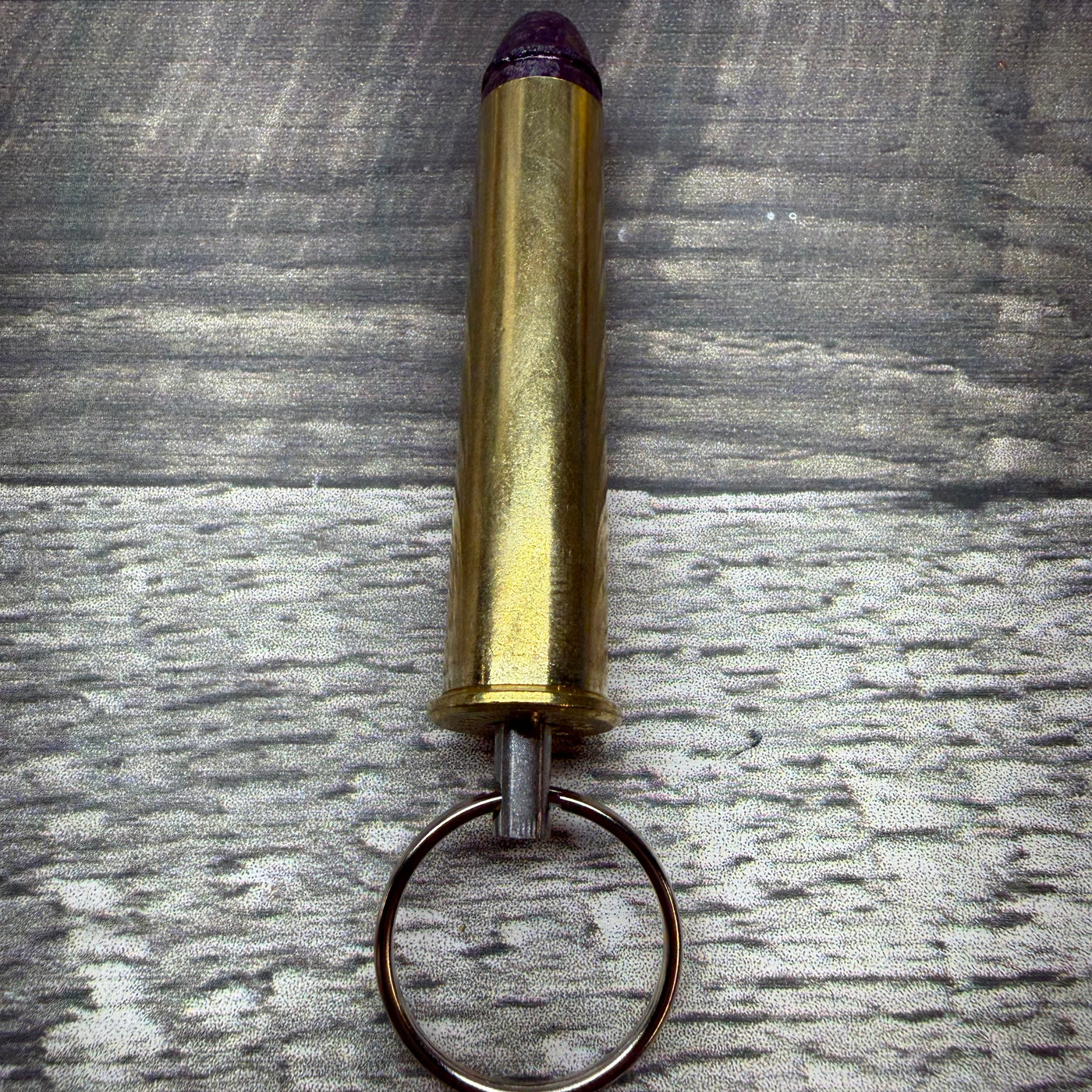 50-90 Sharps Bullet Key Chain