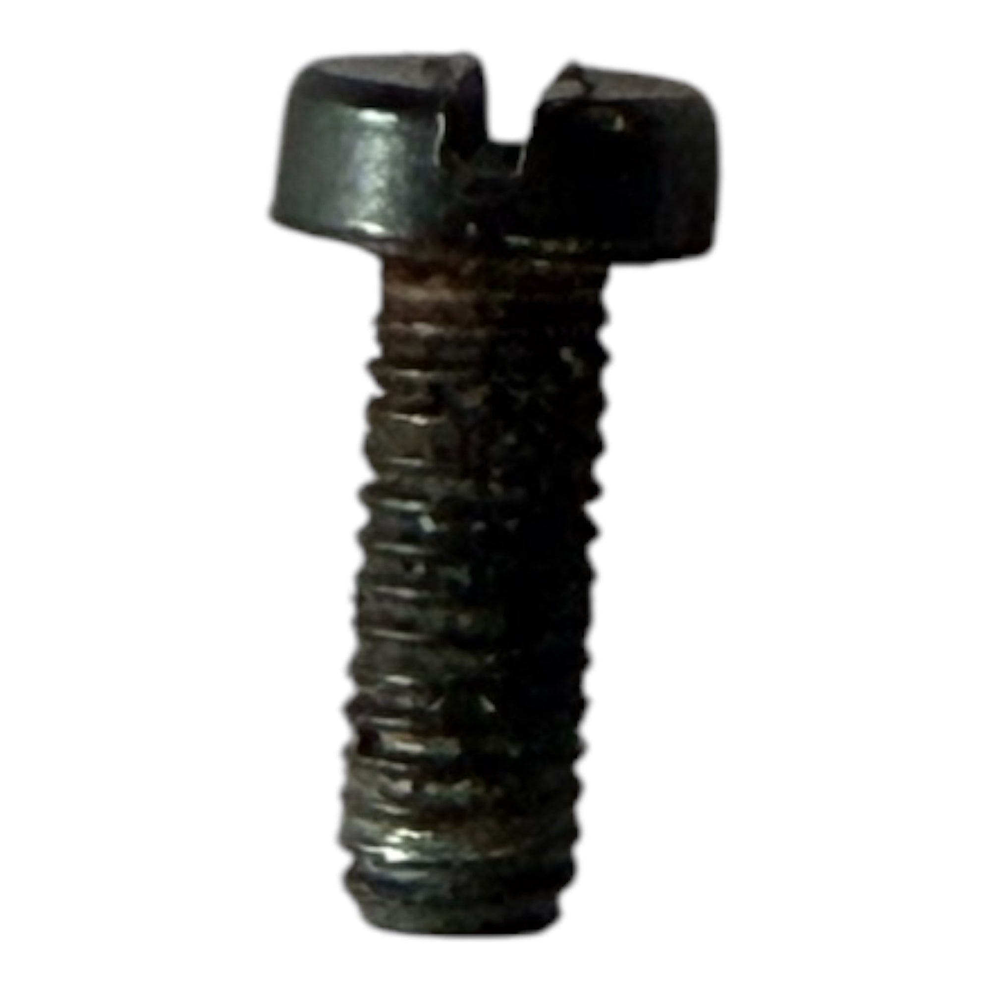 417.40.07.3 Screw