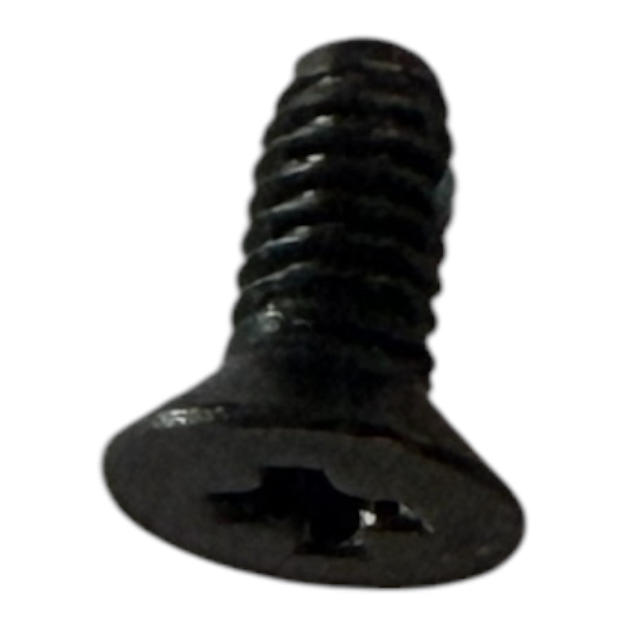 101054 Safety Screw