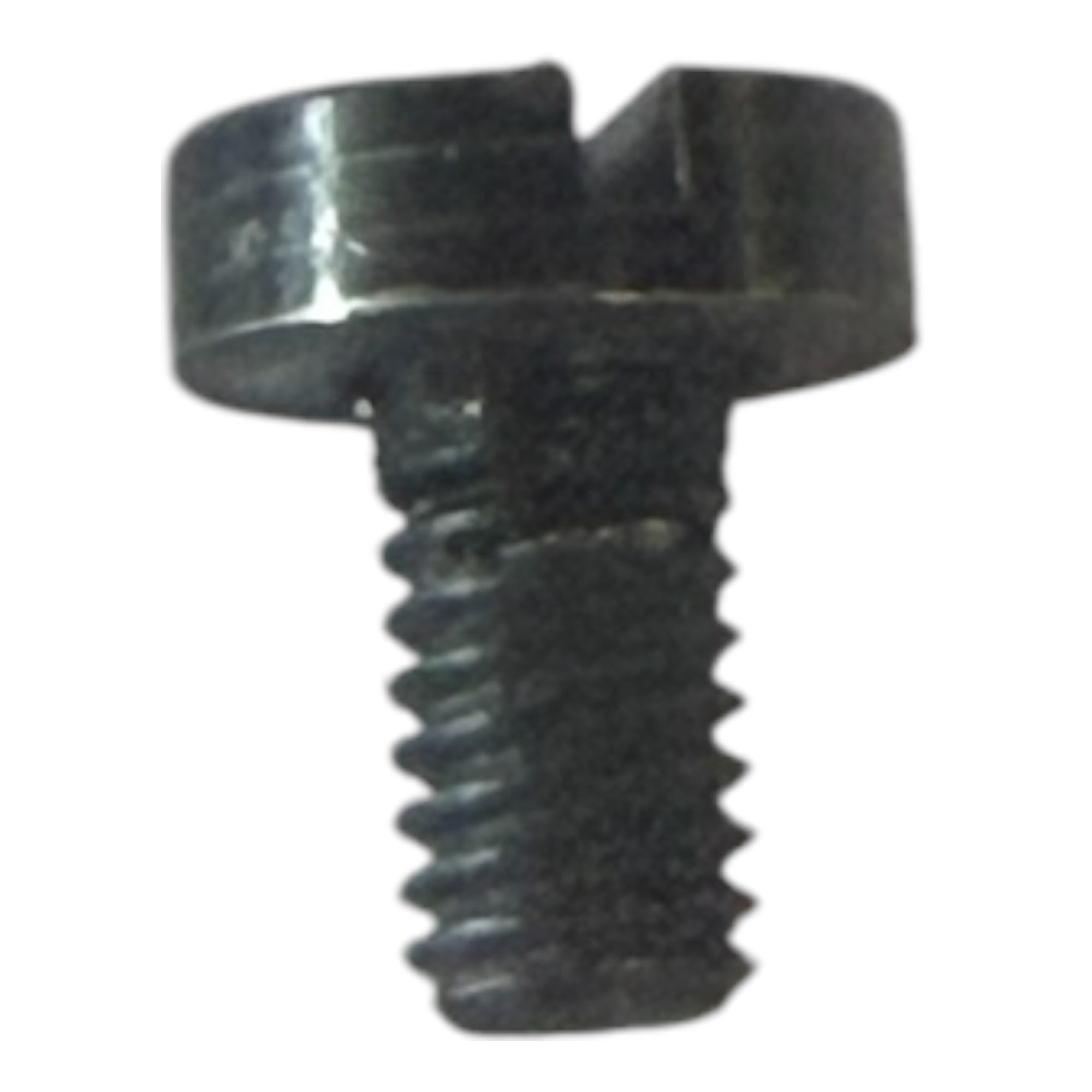 2137526 Exhaust Valve Body Screw