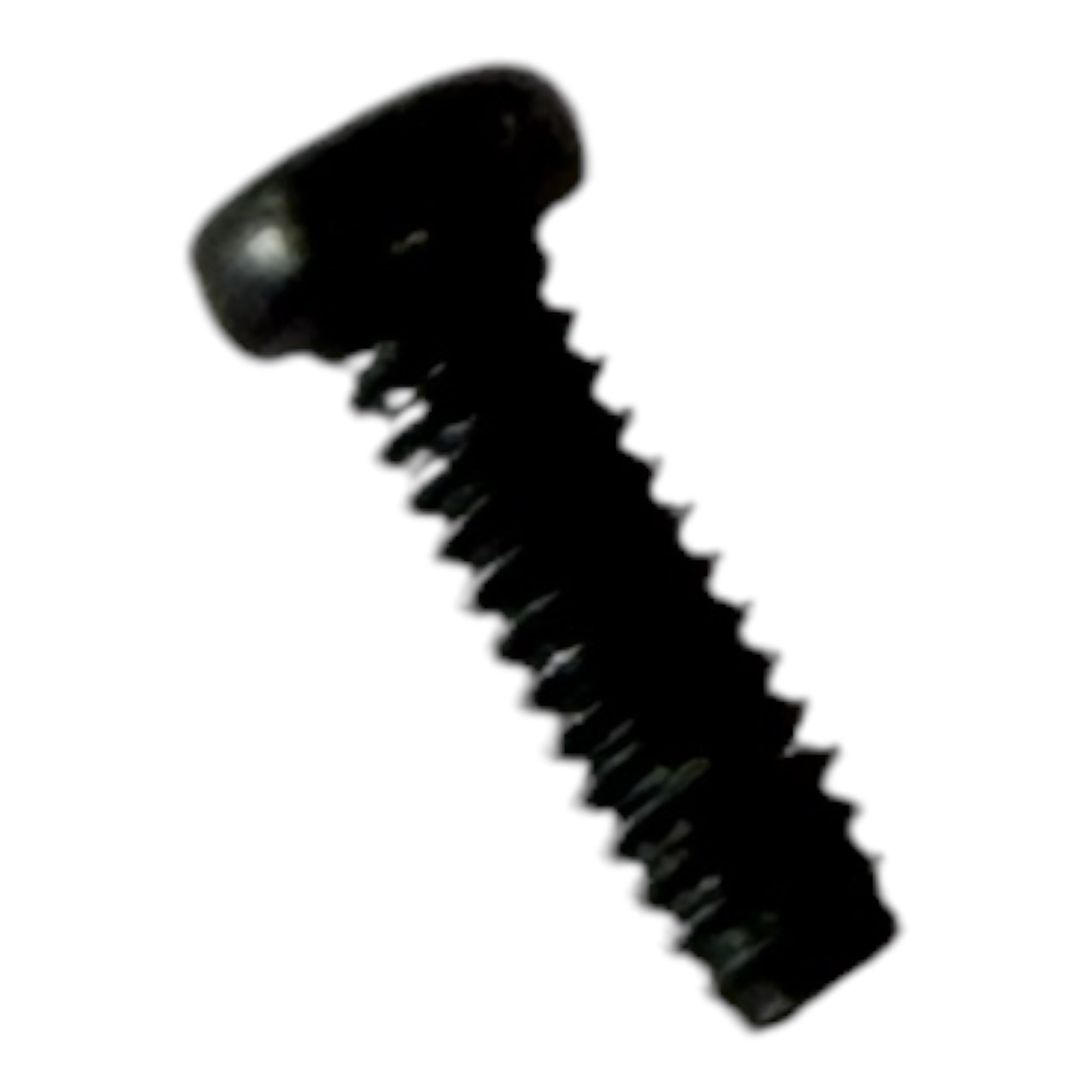 P38-1-16 Frame Screw