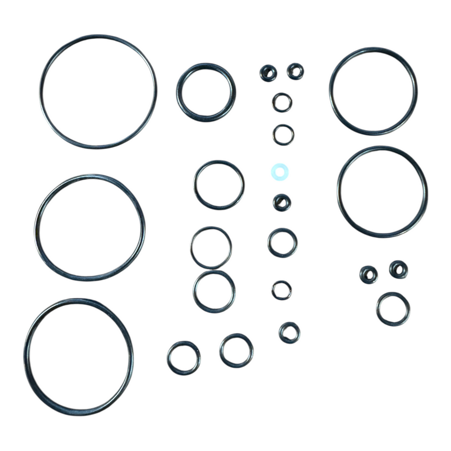 HW100 Complete Seal Kit