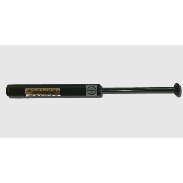CAS60 GAMO ATS SAT TRIGGER GAS RAM KIT