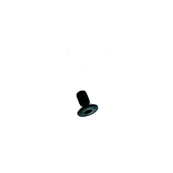 302906 Screw