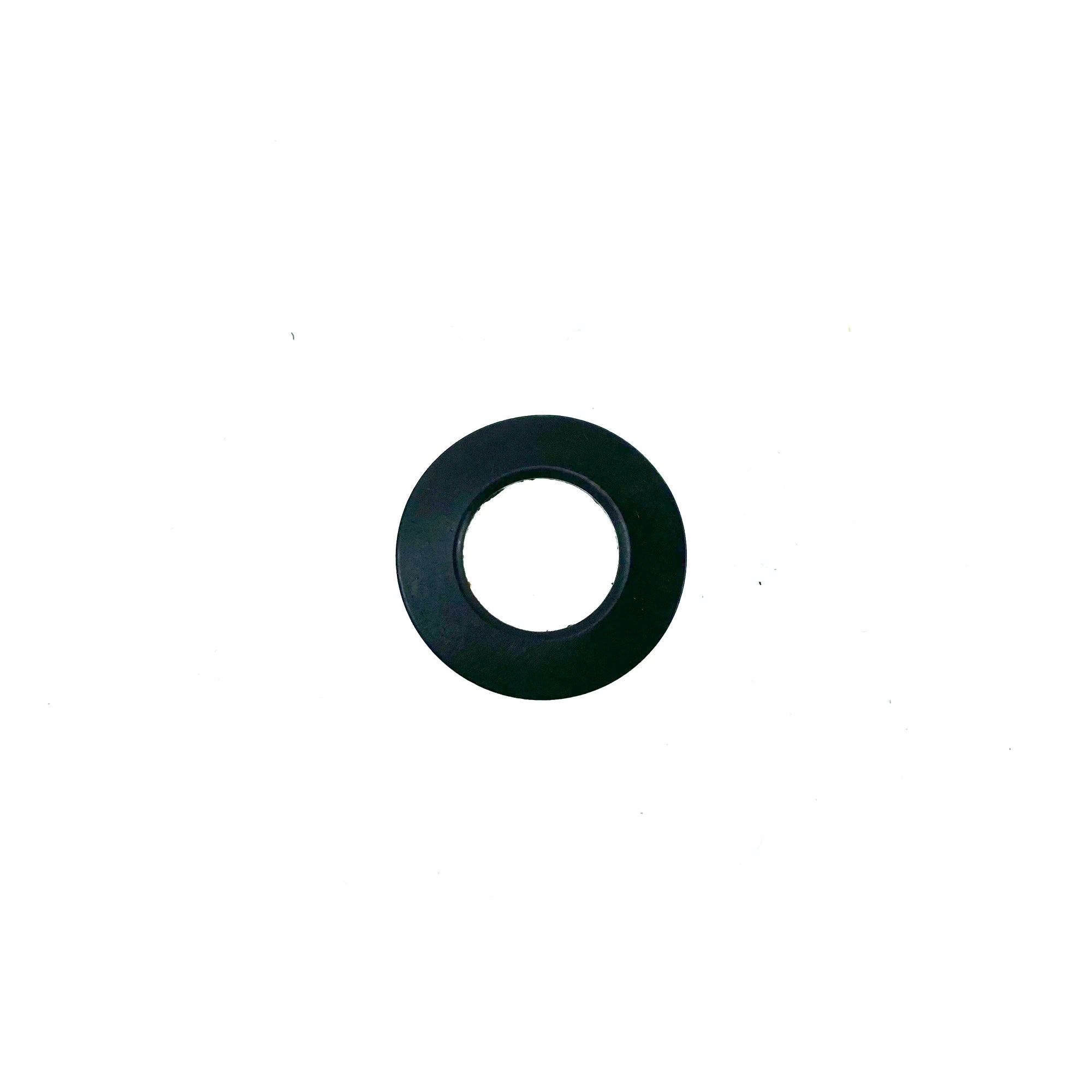 100008 Lateral washer