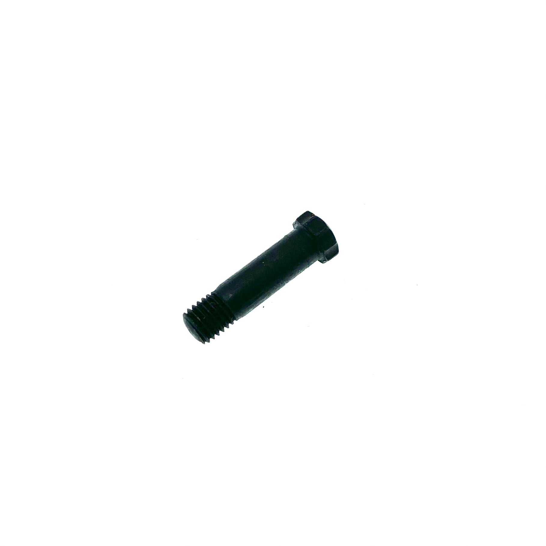 100013 Hinge pin screw