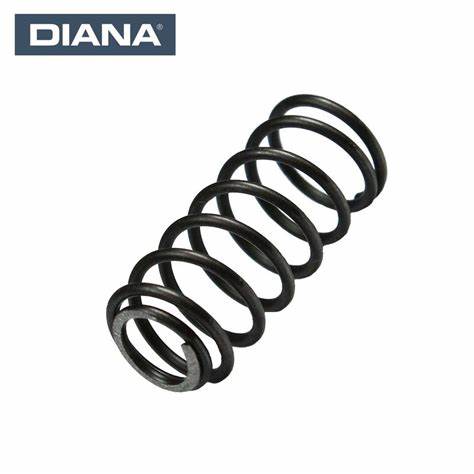 Locking spring 30035000