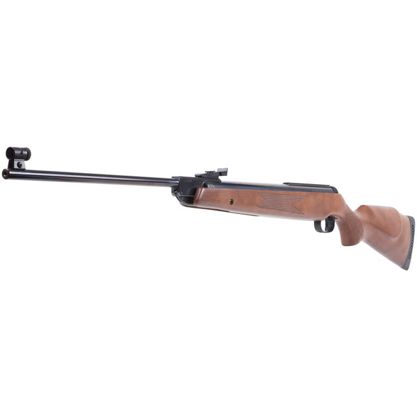 .22 Spring Rifles Tagged 