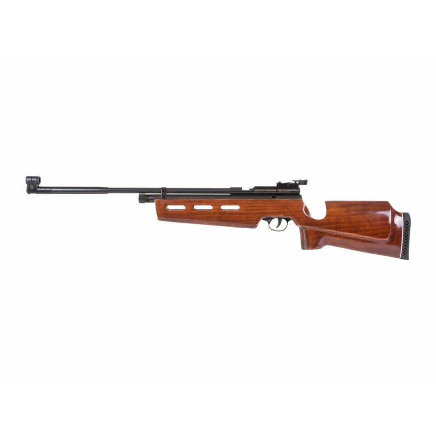 Beeman AR2078A .22 499FPS (BEM-AR-001)