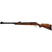 RWS 460 Magnum .177 1120FPS (DIA-AR-038)