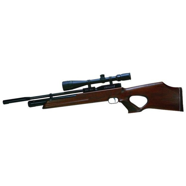 HW 100 T .22 960FPS (WIR-AR-063)