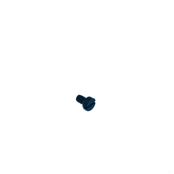 P4 Rear Sight screw